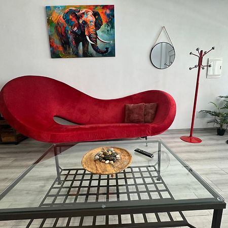 דירות סנטה קרוז דה טנריף Dream Loft Sc מראה חיצוני תמונה